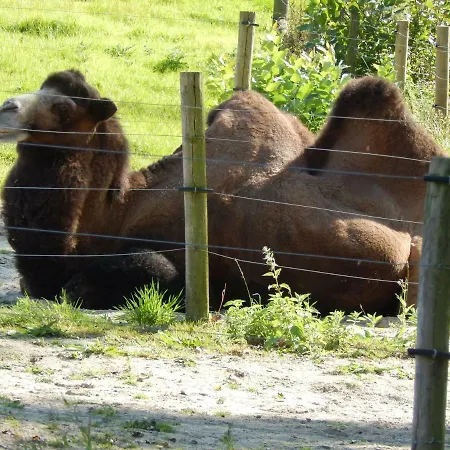 Flamingo Land - Beech Grove B11a 假日公园 Kirby Misperton