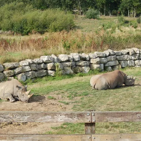 Flamingo Land - Beech Grove B11a 假日公园