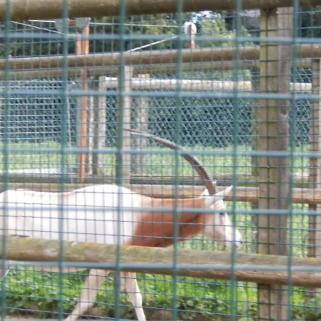 Flamingo Land - Beech Grove B11a Kirby Misperton