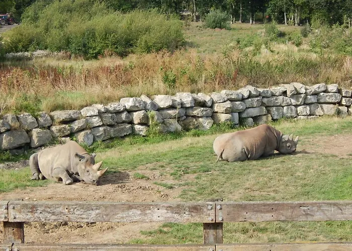 Flamingo Land - Beech Grove B11a Holiday park