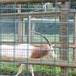 Flamingo Land - Beech Grove B11a Kirby Misperton