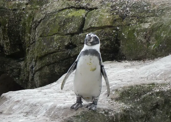 Village de vacances Flamingo Land - Beech Grove B11a Kirby Misperton