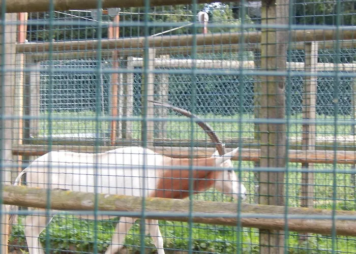 Flamingo Land - Beech Grove B11a Kirby Misperton